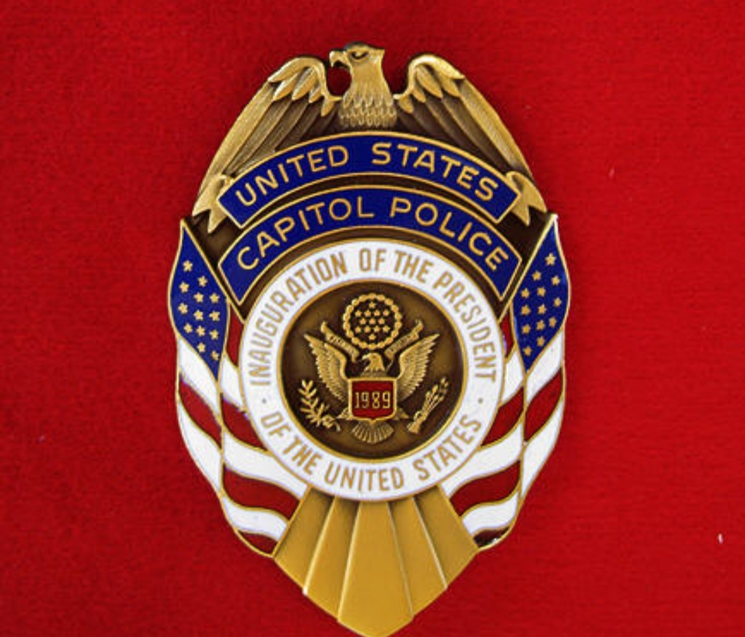 美国警徽图片图片