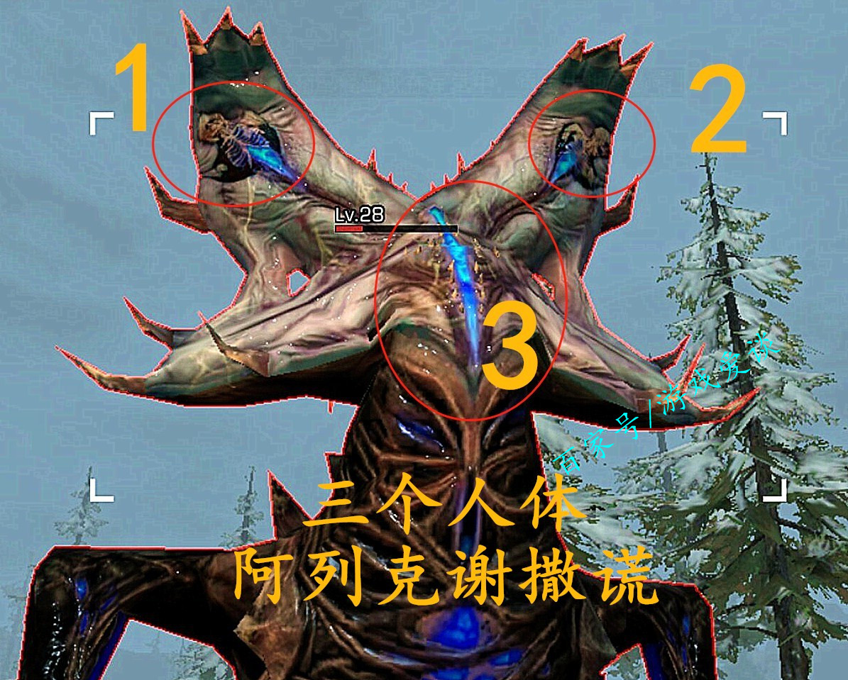 它不是拉扎罗夫?阿列克谢在撒谎