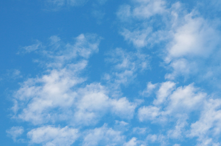 夏天的太阳,像个大火球,火辣辣地照射着大地