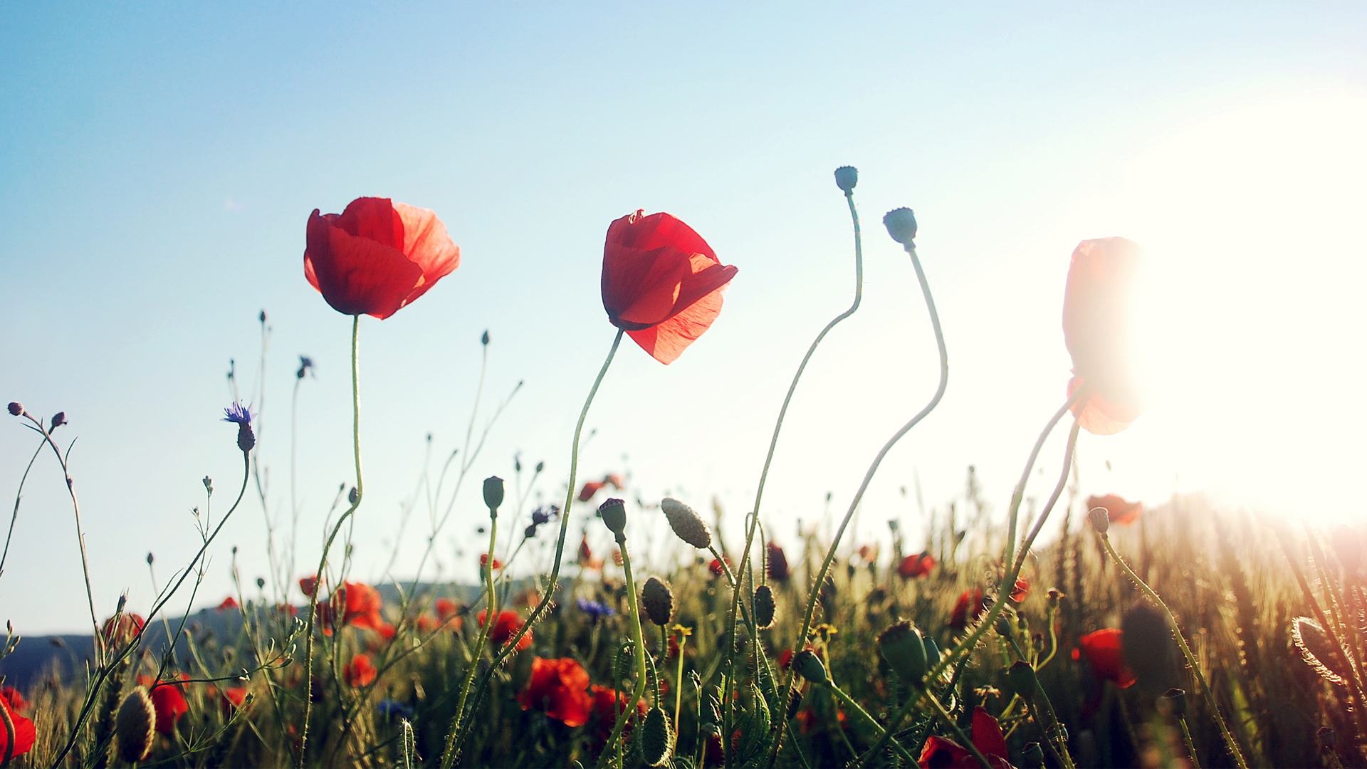 小清新温暖美好的正能量短句,戳心入骨,有深度有品味!