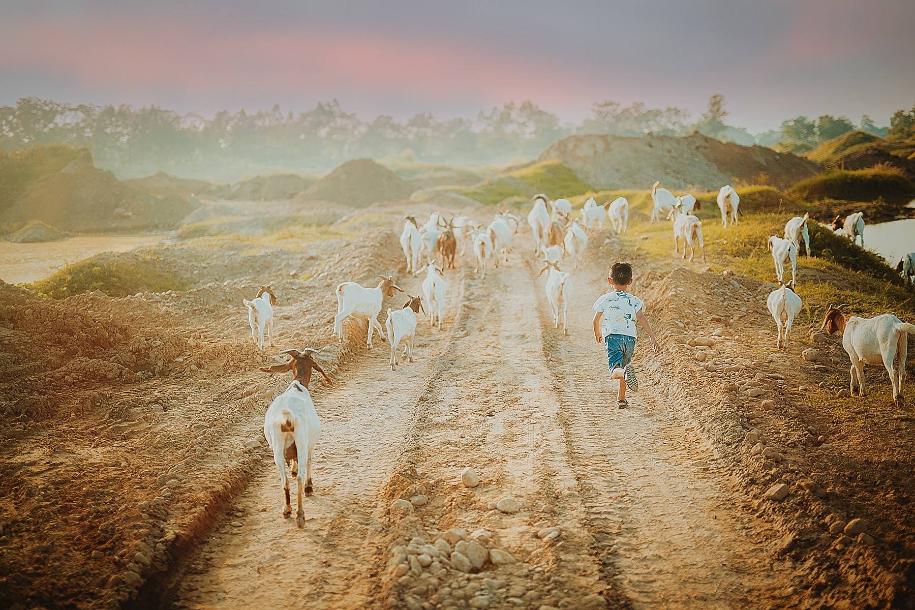 以前农村放羊的孩子现在干什么,都会什么