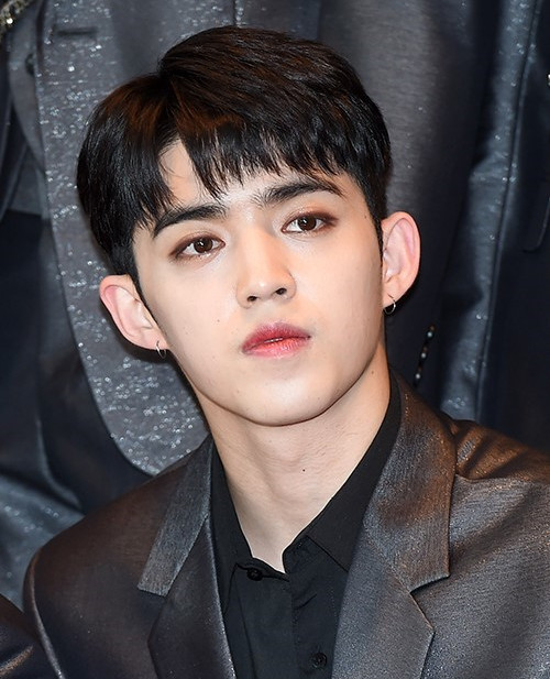 韩国男团seventeen队长暂停活动 患恐慌症需静养