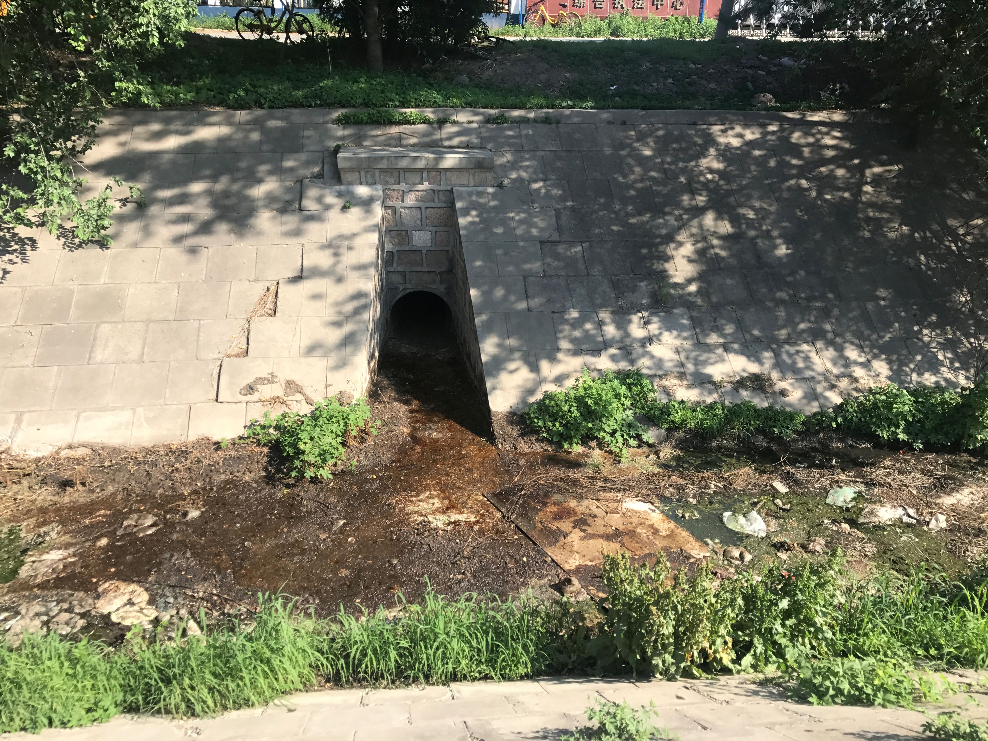 北清路两侧排洪沟为何长满绿藻,恶臭熏天