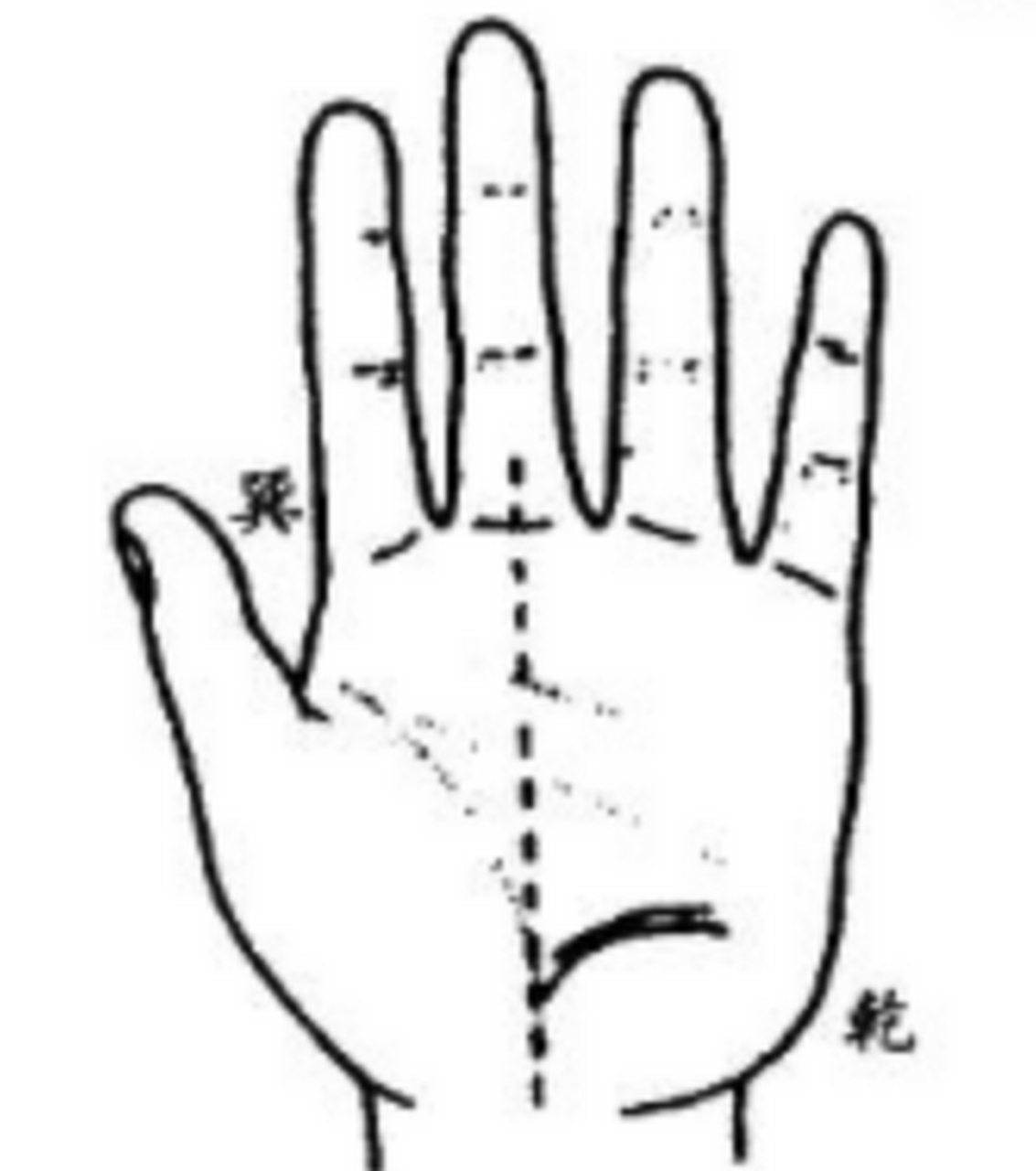 大叔手相教学281——拜相纹是由中指延伸线向乾的方向( 如图所示乾的