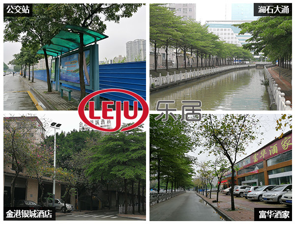 龙光10.08亿 12%自持竞得禅城城南靓地