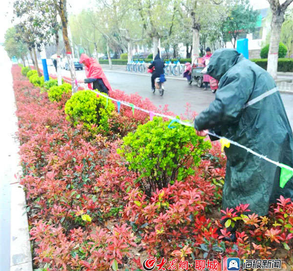 东阿:坚守岗位不停歇 雨中城管别样美