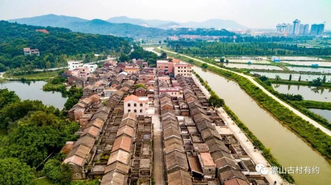 佛山好嘢|佛山这10个古村落,美绝了 foshan ancient villages