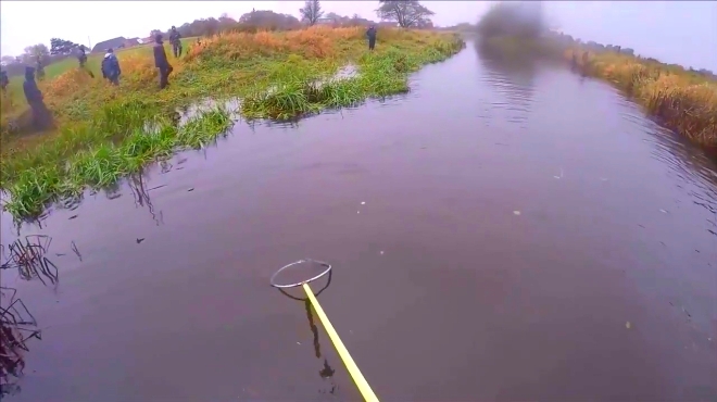 国外男子乘船用网兜舀鱼,全是大肥鱼,令人羡慕