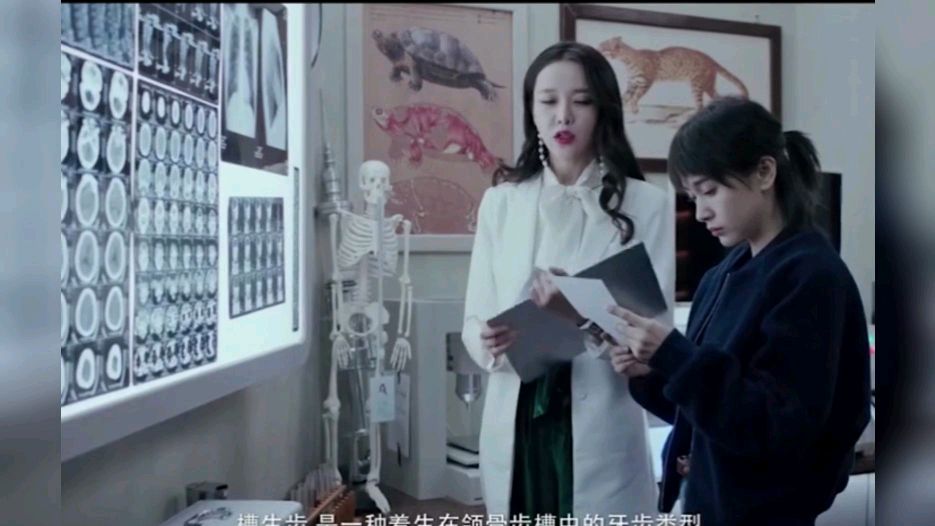 动物管理局之鳄鱼精:路边哭啼的小姑娘,竟是死人不眨眼的恶魔