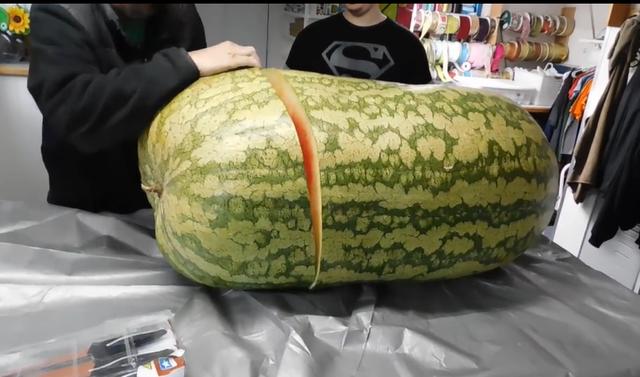 世界上最贵的西瓜,外表黑不溜秋,一个售价近4万元,真稀罕