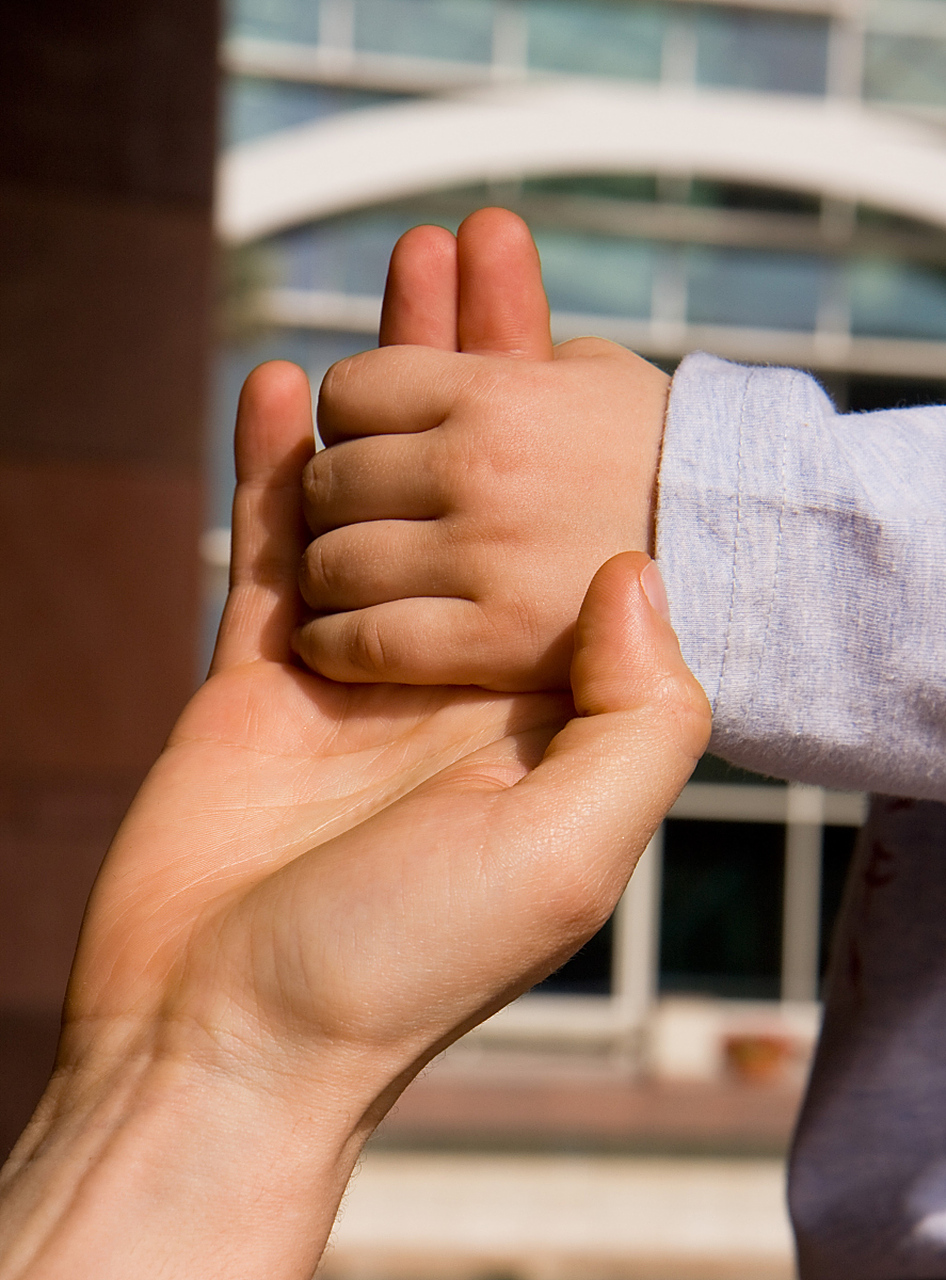 上下其手:楚国争功与现代弊案