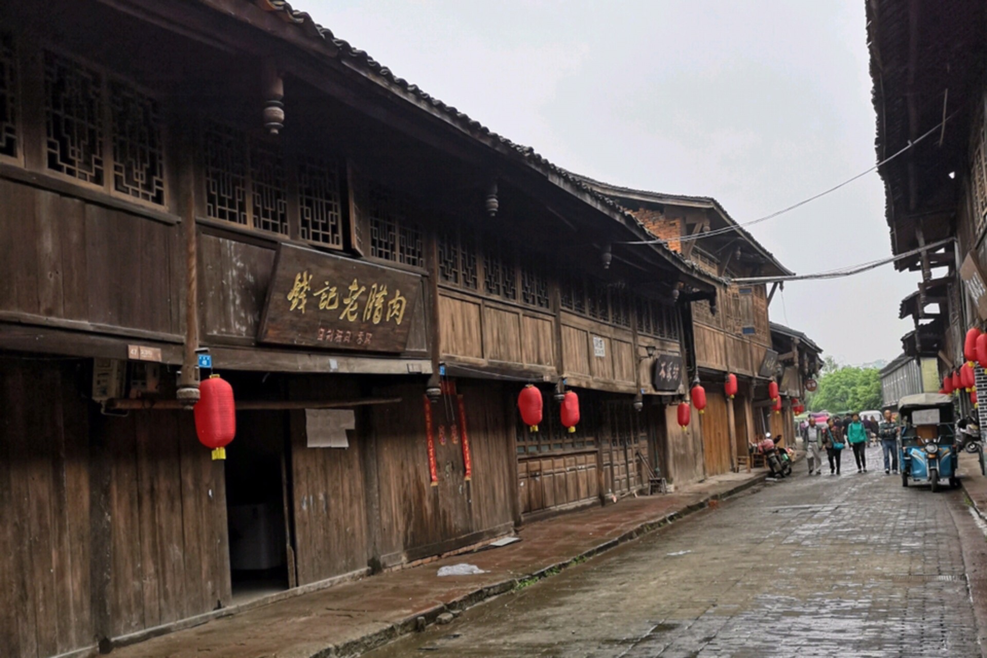 成都一座冷门古镇,生长着11棵千年古榕树,更有国宝级别的古塔
