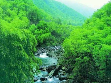 除了造型很特別的五糧液酒史博物館,四川·宜賓的知名景點原來還有