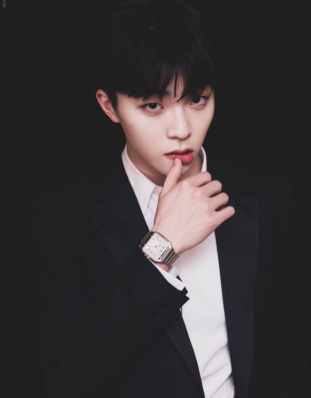 完美理想型,陈立农