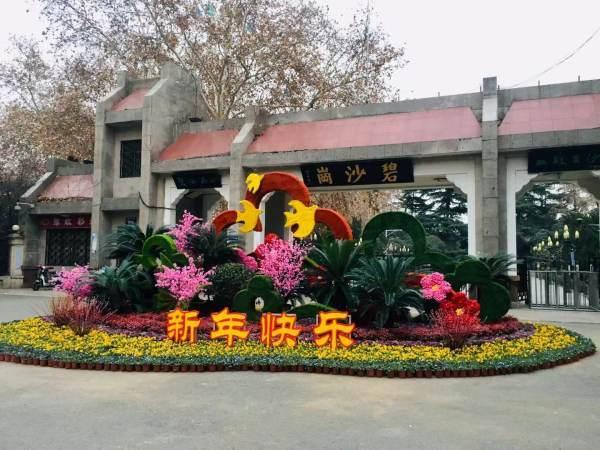 郑州今年将办18场花展,来看看都有啥亮点?