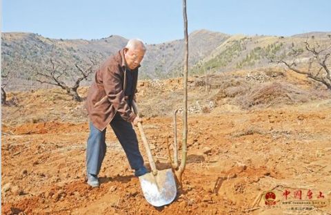 古稀老人12年植树600亩 誓为儿孙撑起一片"唐山蓝"