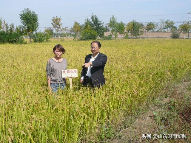 田军仓:旱区节水灌溉的带头人