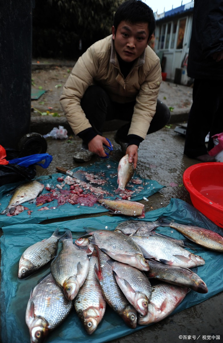 给死鱼超度-给寺院供养两次不同待遇的故事