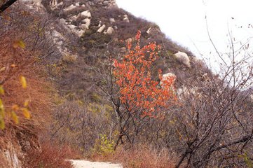 洛阳双龙山省级森林公园,天然的森林氧吧,旅游度假的