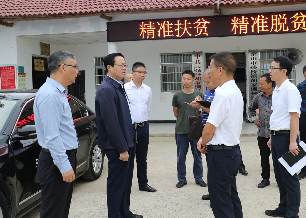 京山市委书记刘启华调研孙桥杨集精准扶贫工作