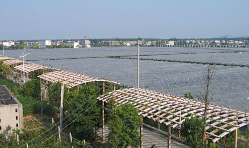 宿松县各大特色乡镇,带你看遍这个美丽的地方!