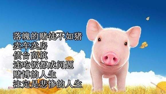 賭徒是怎麼一次次去復賭的?只有這樣做才能戒賭上岸