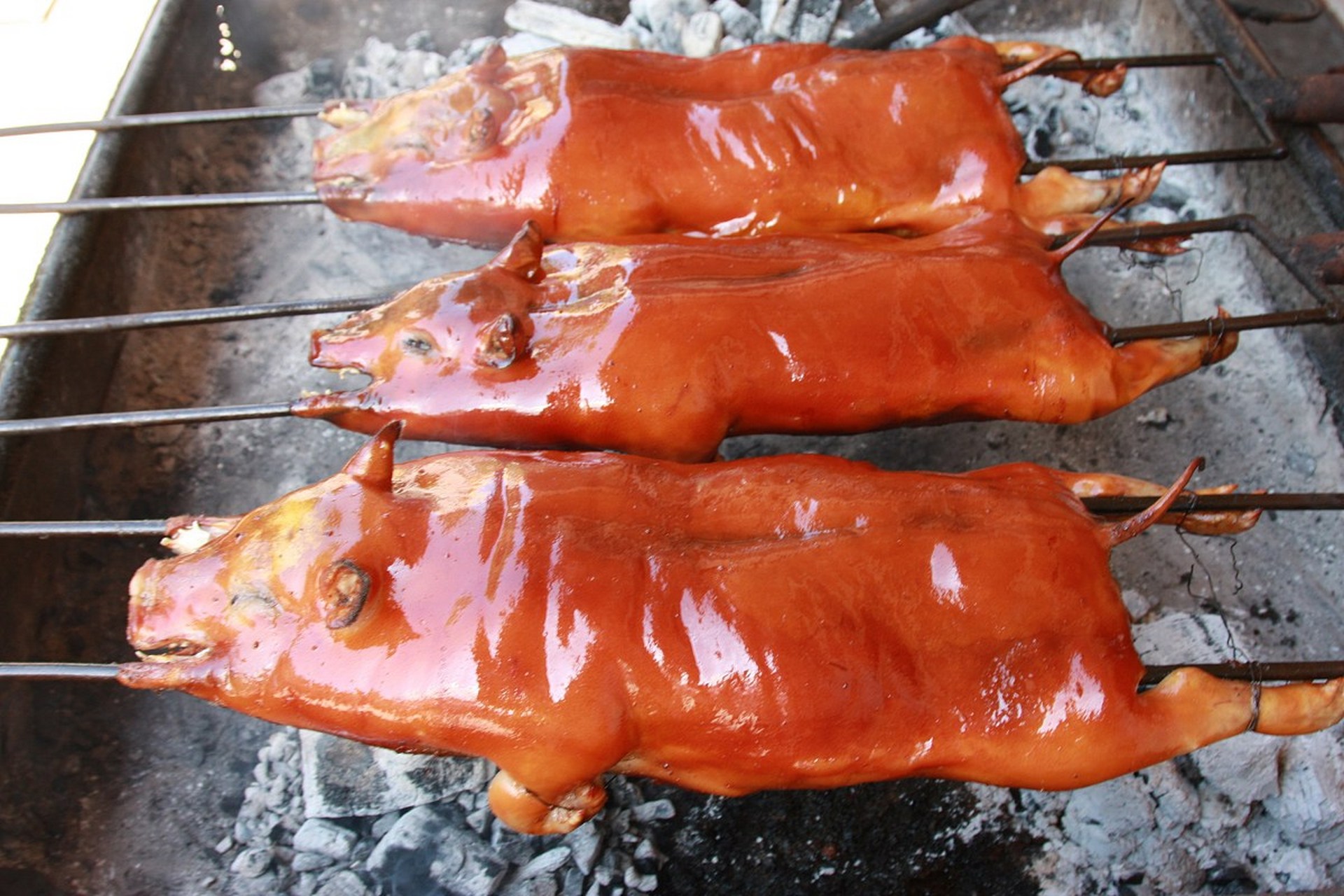 广西百色美食丰富,有七里香猪,羊瘪汤,田阳烧鸭粉,西林麻鸭,十里荷香