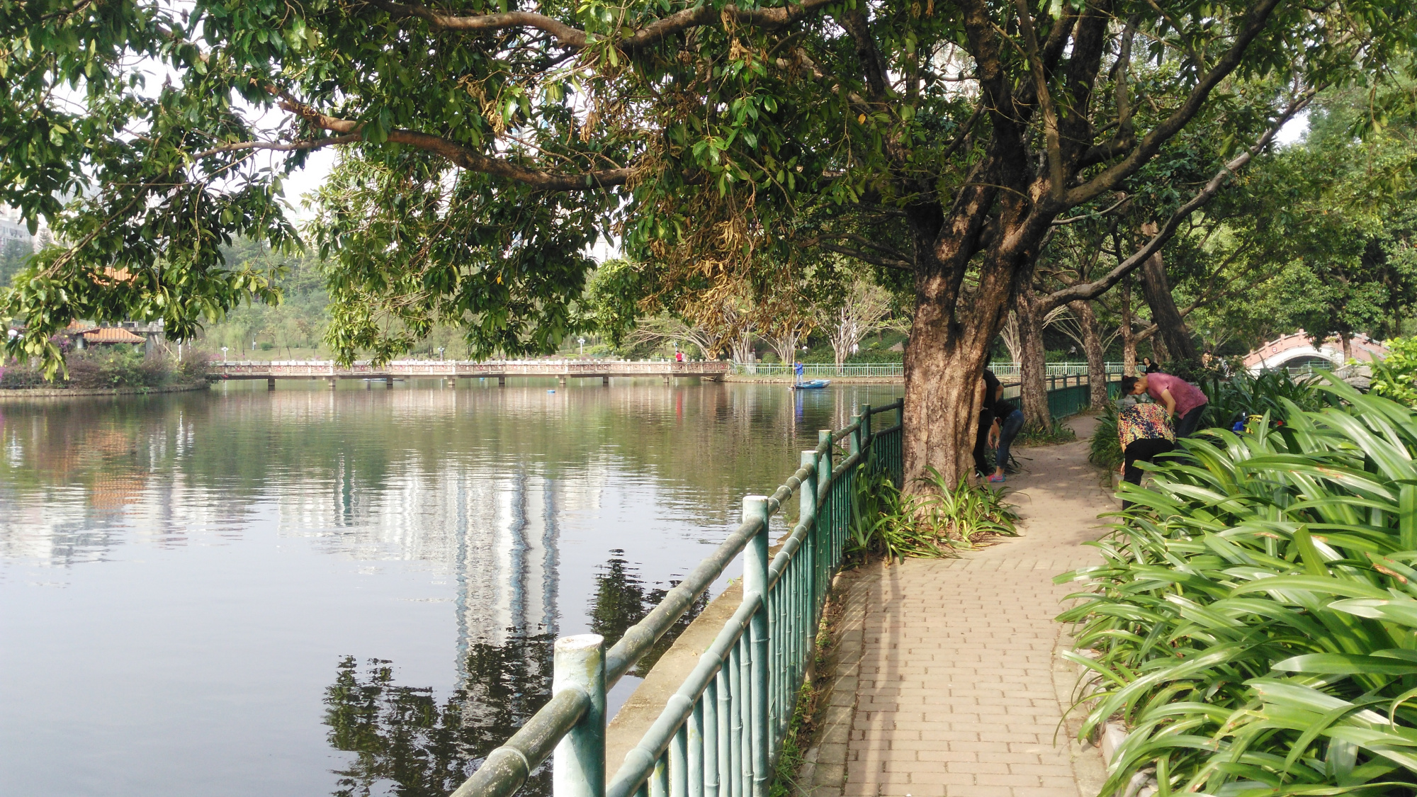 深圳龙岗龙潭公园掠影,看看有没有你喜欢的?