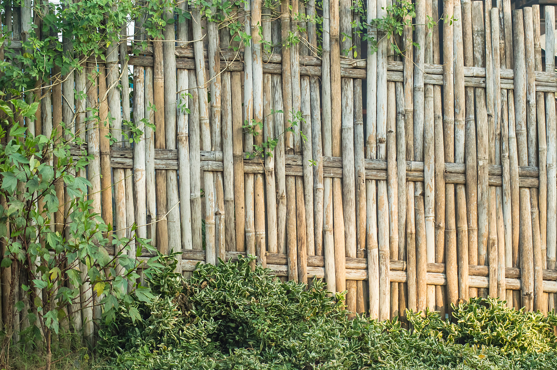 竹子可以制成围墙和栏杆,用来围合建筑物的外围空间