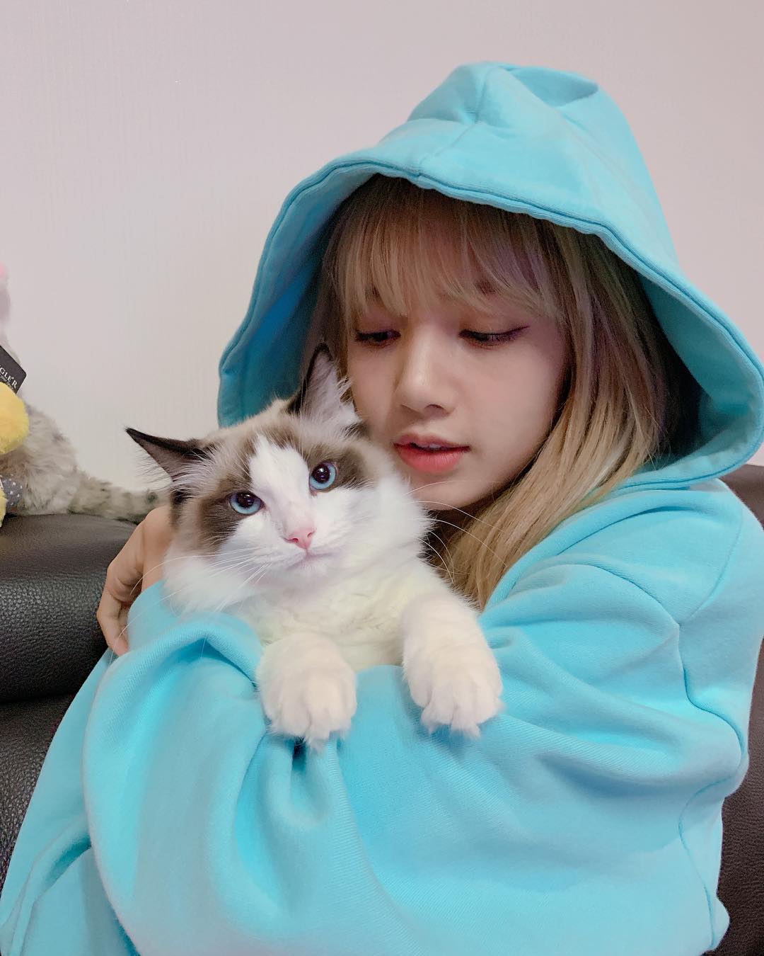 lisa公开与伴侣猫的合照 治愈心情的"可爱时刻"