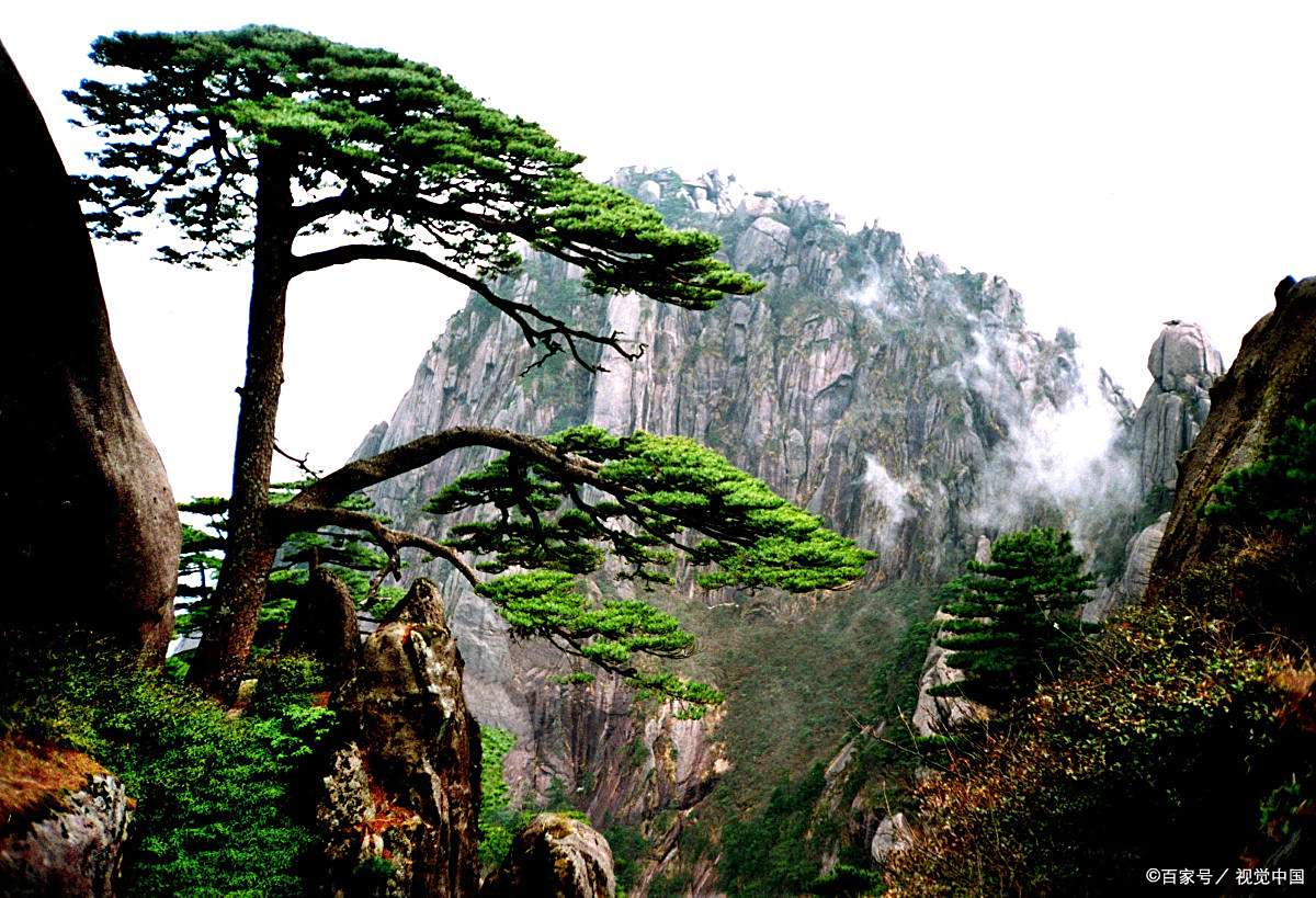 9《黄山奇石》预习清单(部编教材三年级语文上册)