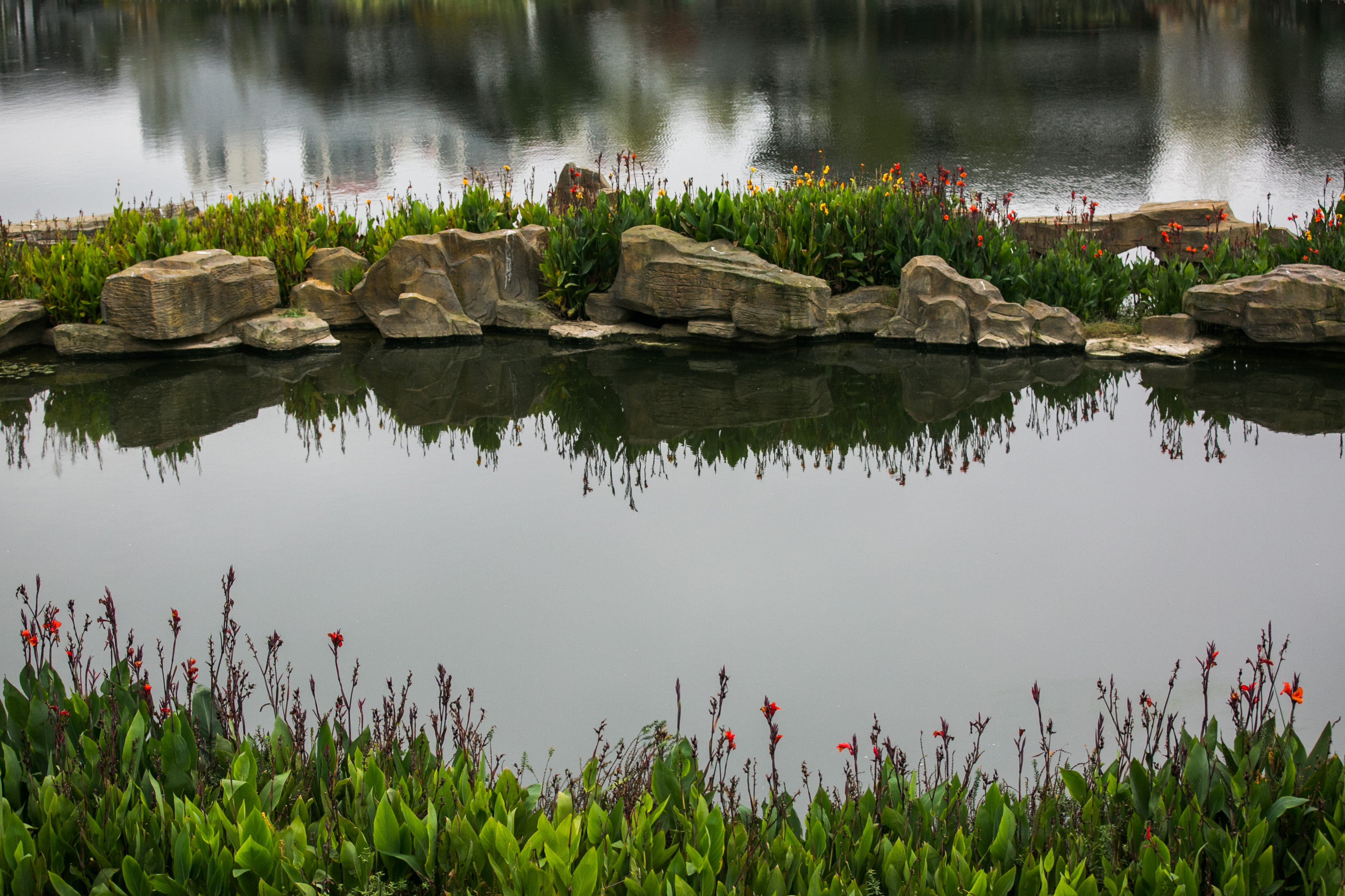 碧阳湖公园图片