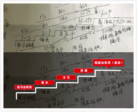 "1040阳光工程",传销组织为何屡禁不止?