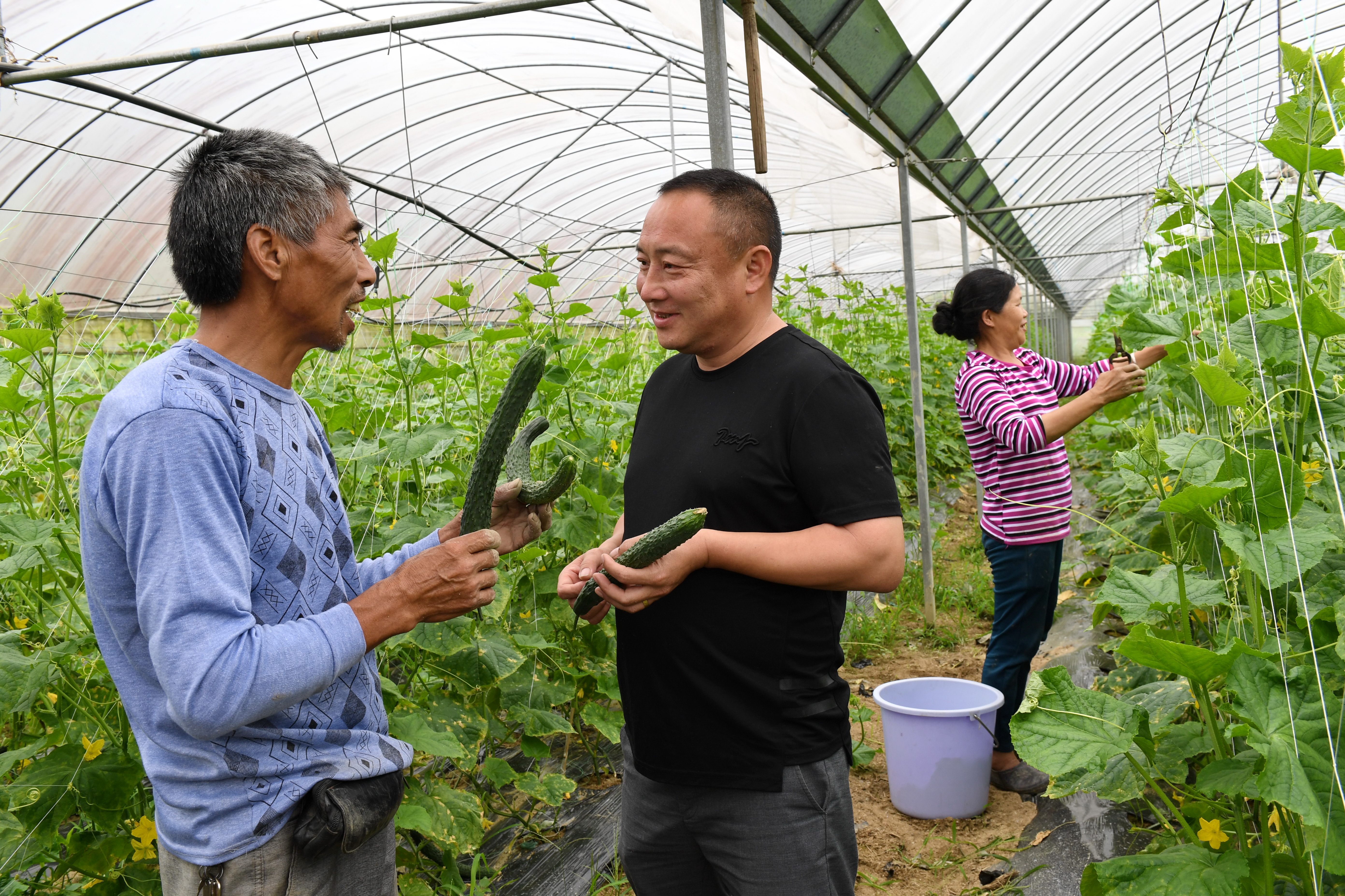 农民创业园  脱贫新途径(1)