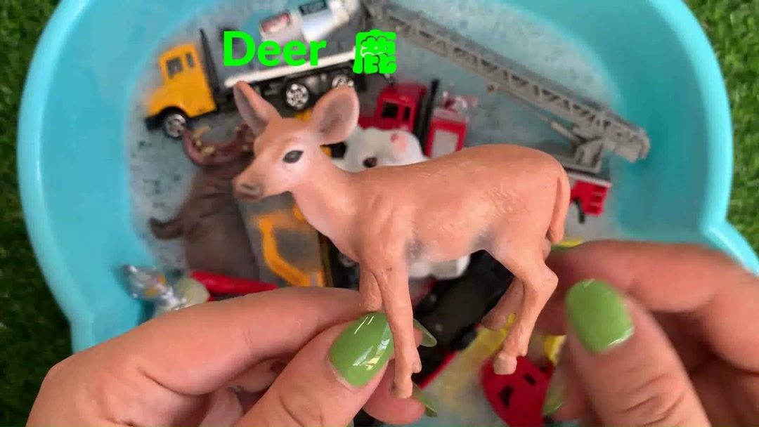 启蒙早教英语 学习小兔子、小丑鱼、大老虎的正确发音