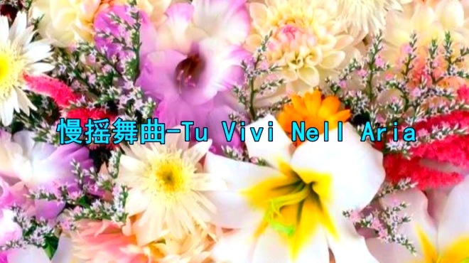 一首慢摇舞曲《tu vivi nell aria》好听极了