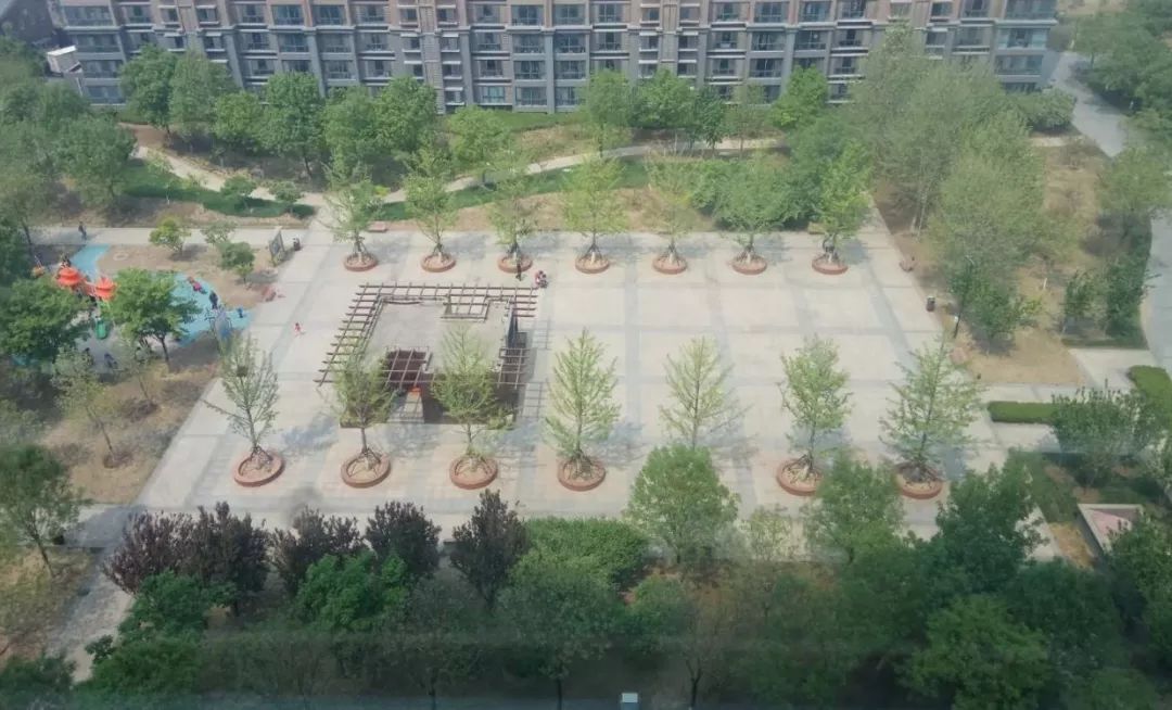 蓝天嘉园活动场地太小,老人们盼望小区外空地建公园