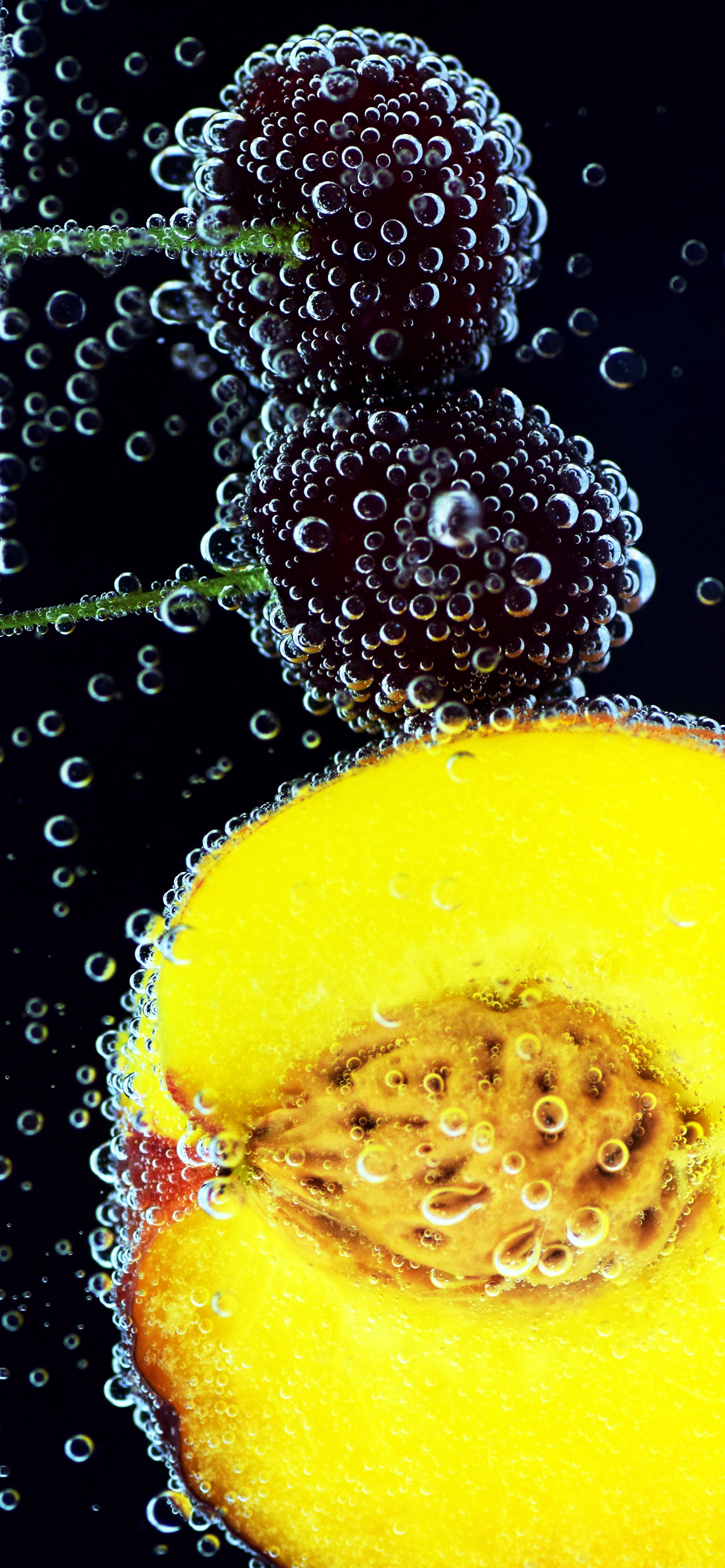 很有格调的15幅超清图,放在iphone xs max上当壁纸正合适