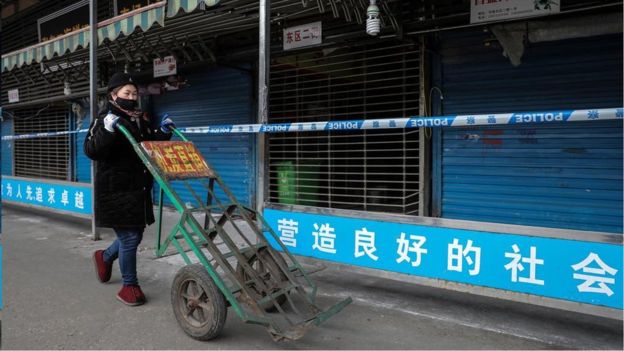 根据世界卫生组织(WHO),肺炎疫情暴发是始于该海鲜市场,并可能在人类之间传播之前,已经先从活体动物传播给人类宿主,这是针对疫情最有可能之假设。