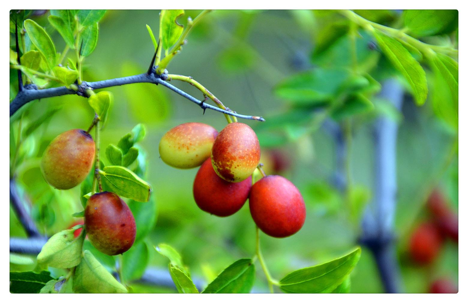念念不忘,怀旧80后老阿姨的回忆杀,那些年吃过的经典零食!