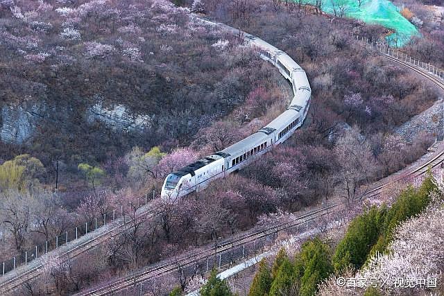 北京昌平居庸关铁道旁山桃花盛开 开往春天的列车驶入花海