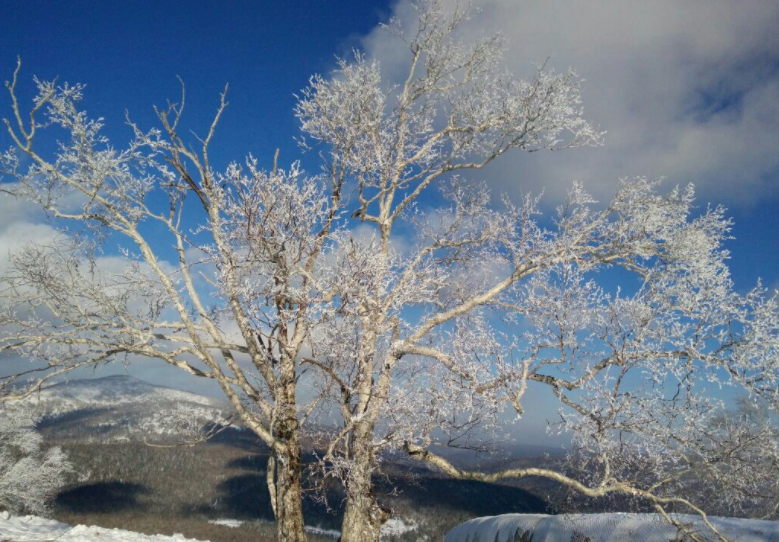 雪的世界——东北冬季旅游必看的牡丹江市大秃顶子山雪景!