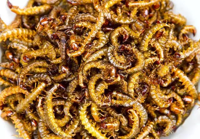 市面上卖的"美食"油炸蜈蚣吃起来安全么?