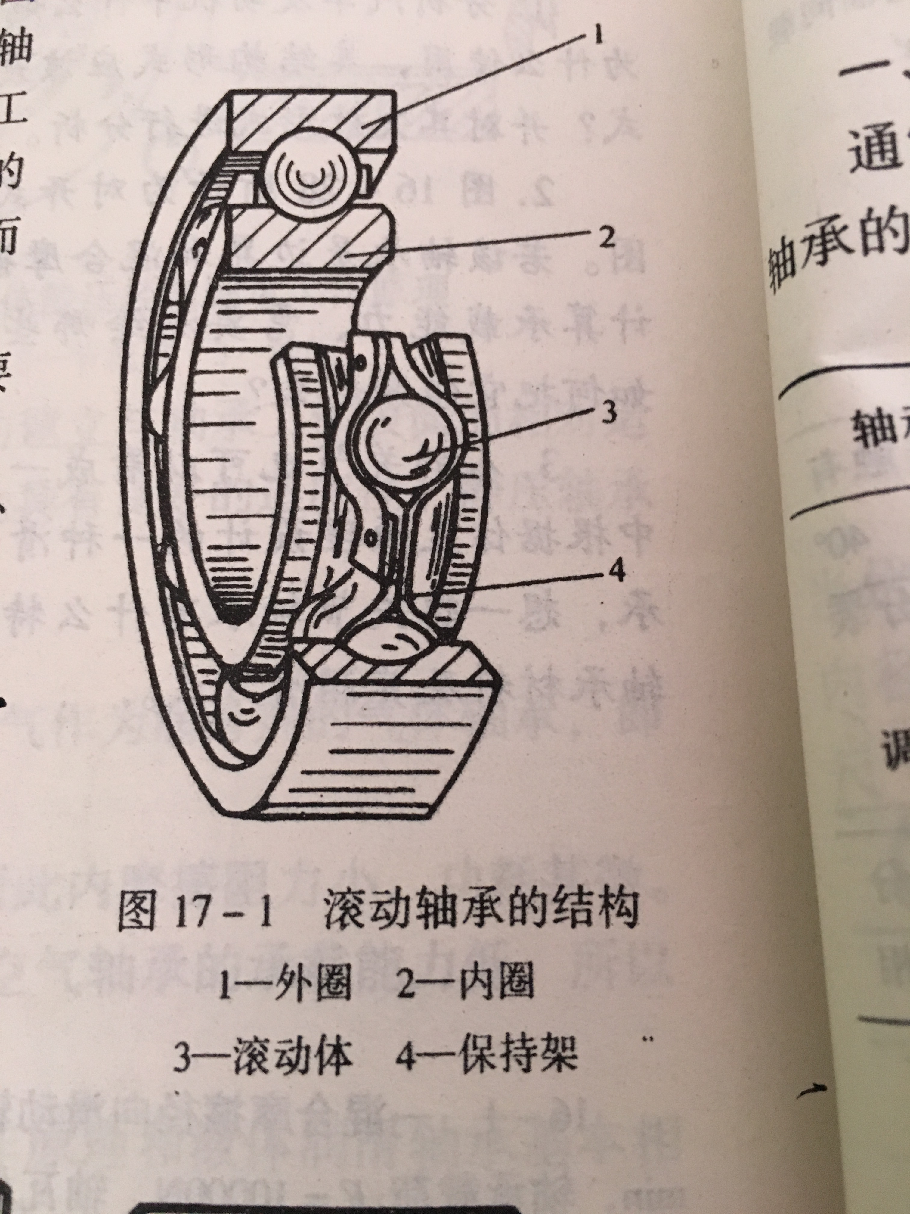 轴承齿轮一体结构图图片
