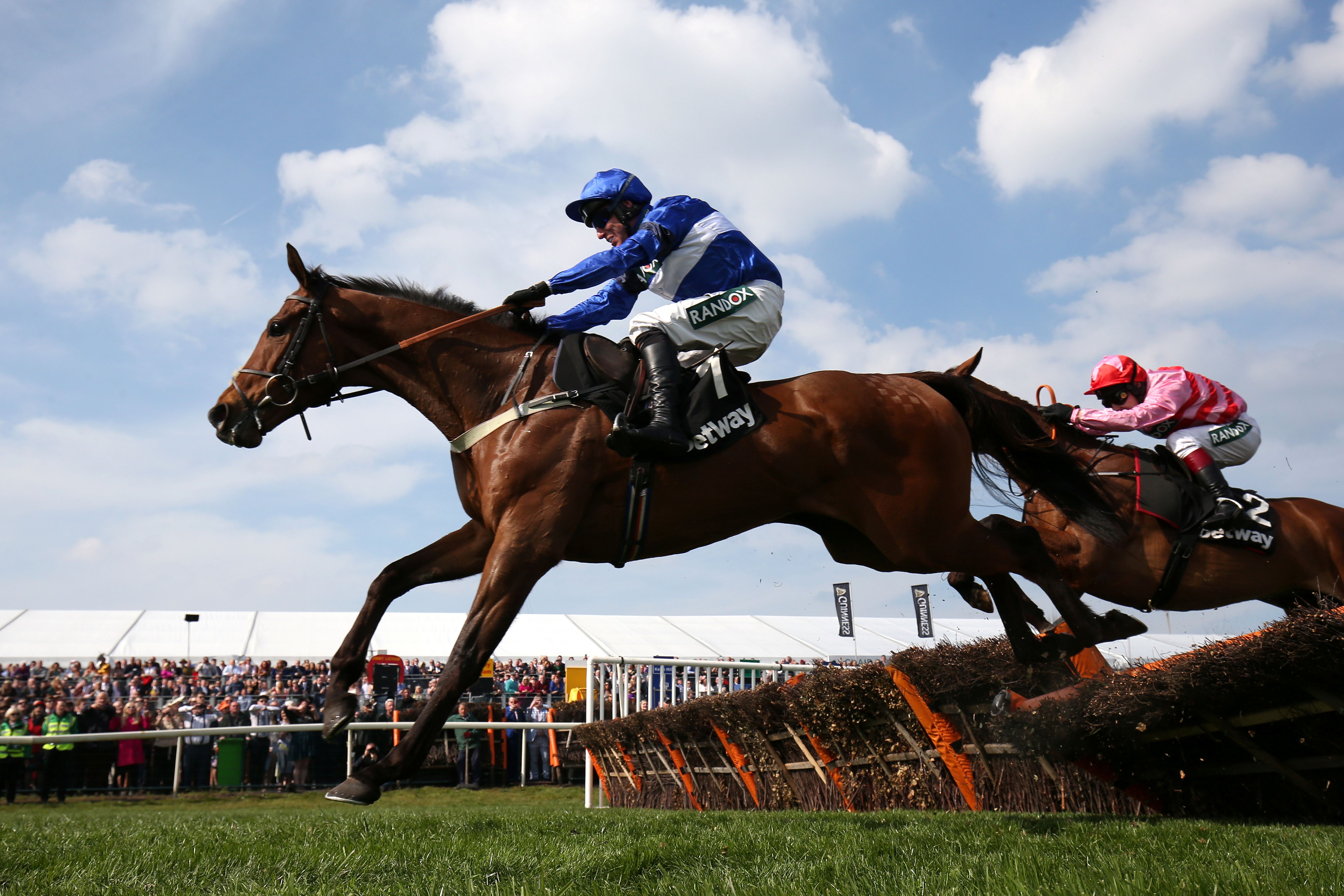 英国国家障碍赛马大赛落幕(6)