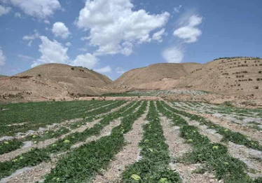 压砂地的制作方法