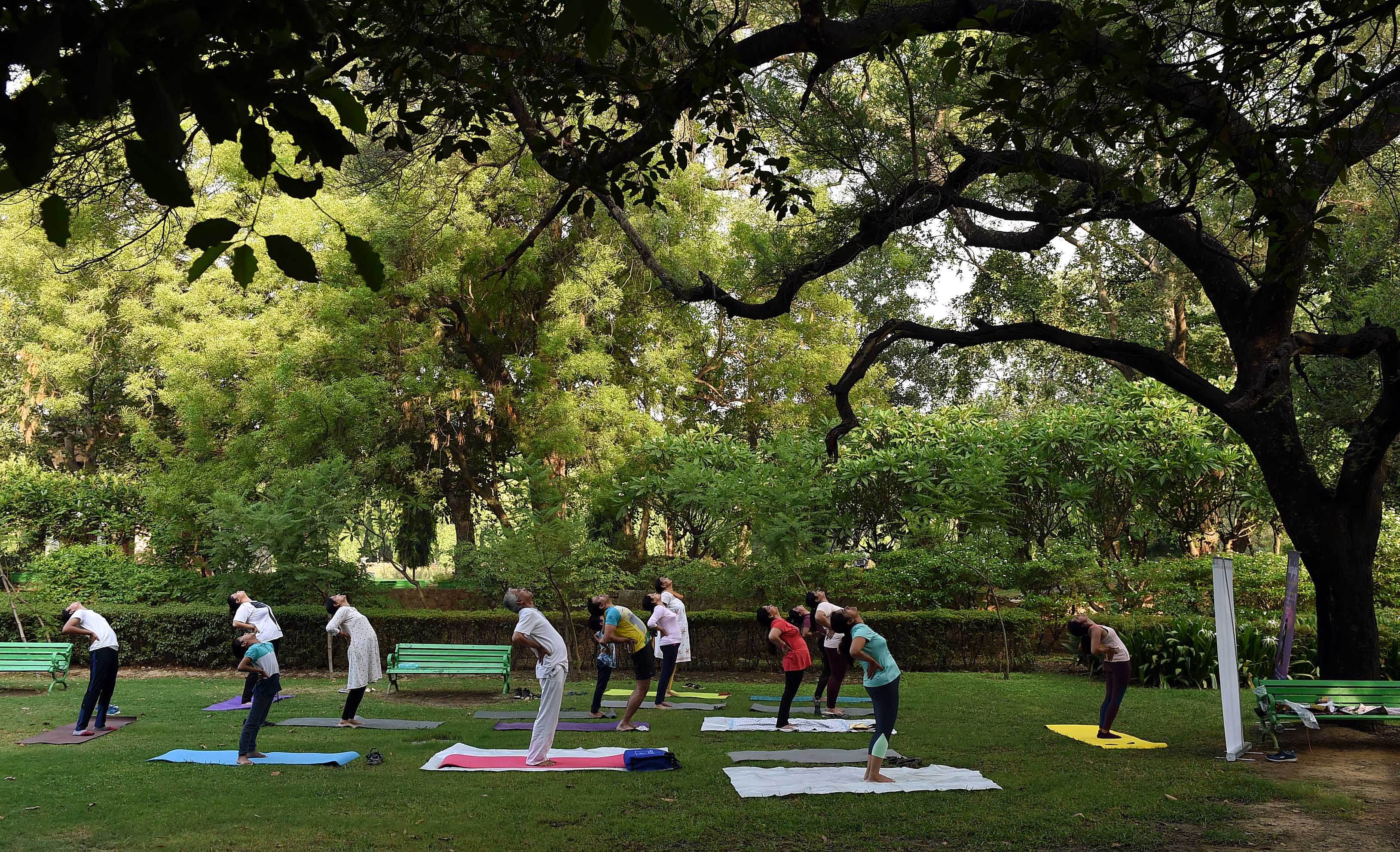 特稿:电影,瑜伽,智能手机——中印两个文明古国交往"新故事"