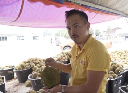 金山银山不如榴莲山,ewtp给马来西亚农民带来惊喜