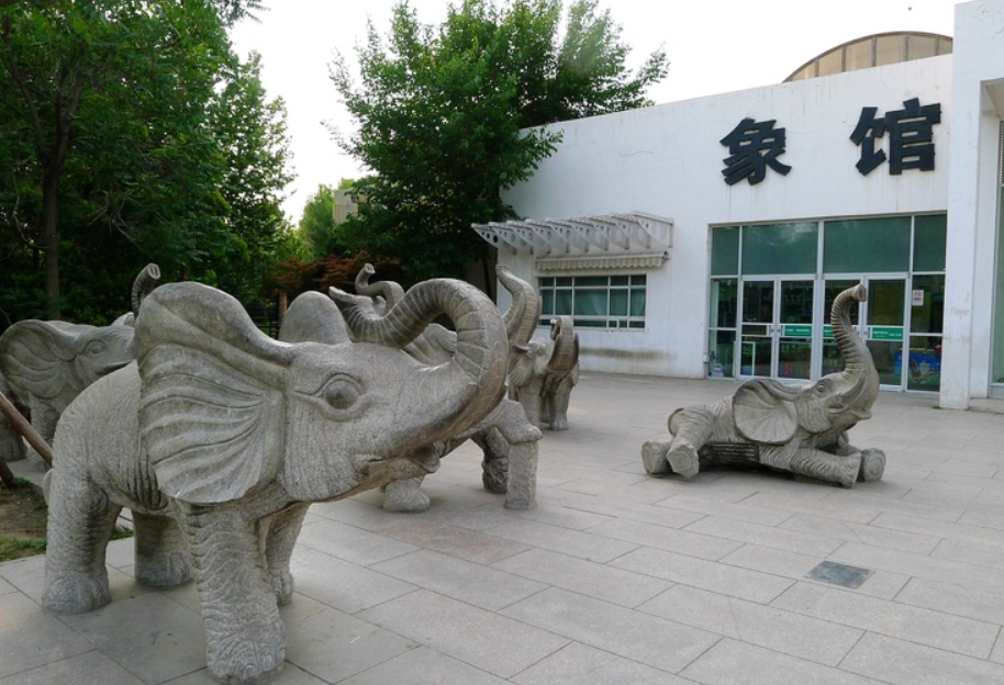 新象馆还保留了老象房时期的指示牌,小时候为了写作文经常要坐在地上