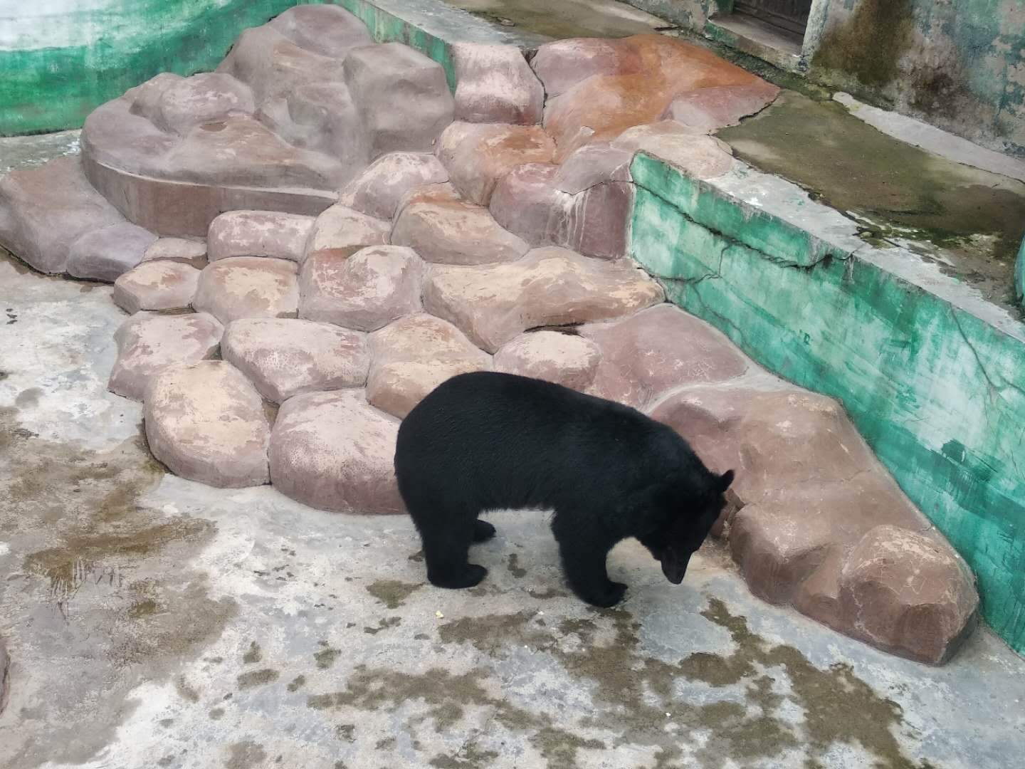 梧州动物园太和图片